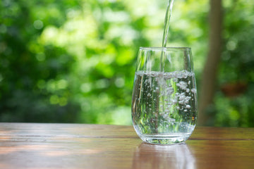 Atmospheric Water Generators vs. Traditional Water Purifiers: Why Are AWGs Better?