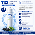 Aqua Vitale T33 post-carbon taste filter for A20L